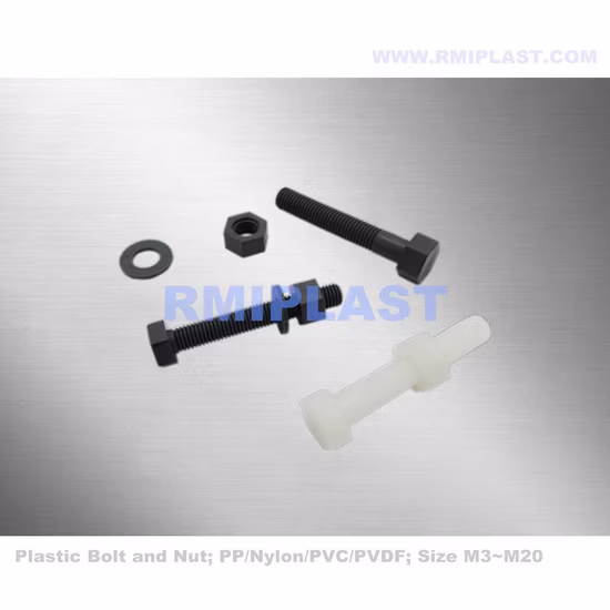 1/2'' 3/4'' ABS PVC Ex フランジバックナットパイプ継手、ロックナット